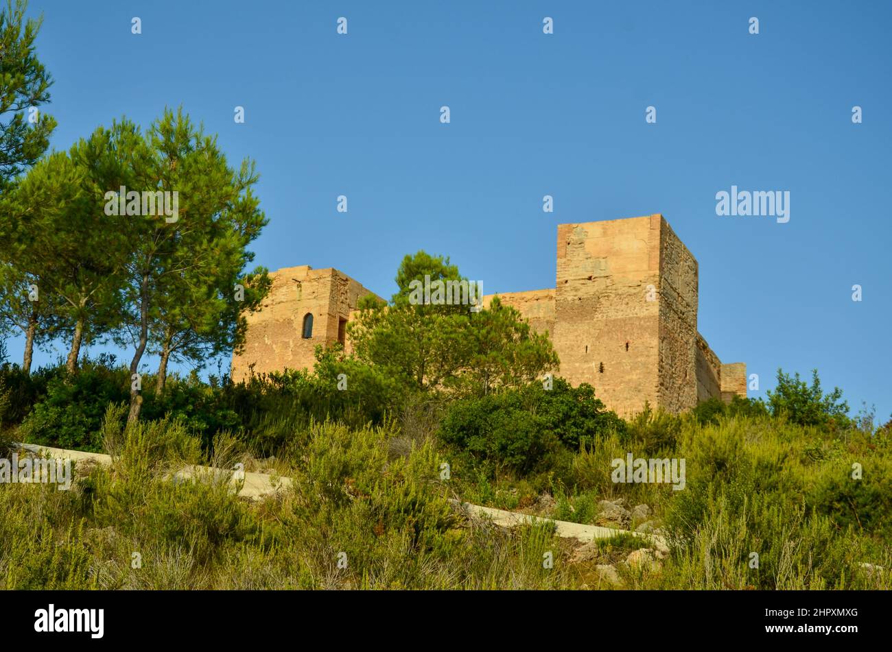 Das castillo de Forna auf einem großen Felsen, umgeben von grünen Bäumen und Sträuchern unter blauem Himmel Stockfoto