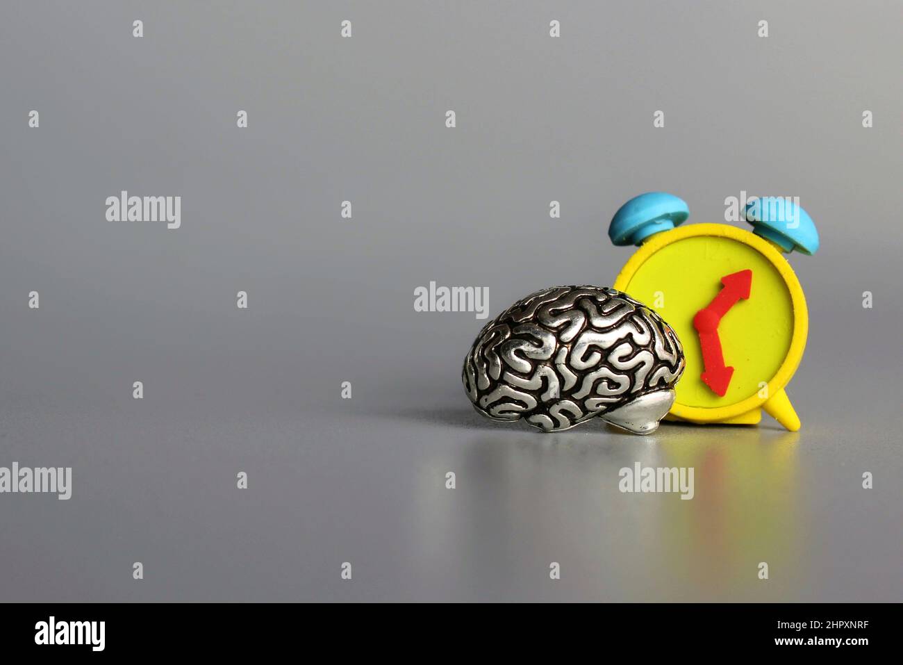 Menschliches Gehirn und Wecker mit Kopierraum. Biologische Uhr, denkendes Zeitkonzept. Stockfoto