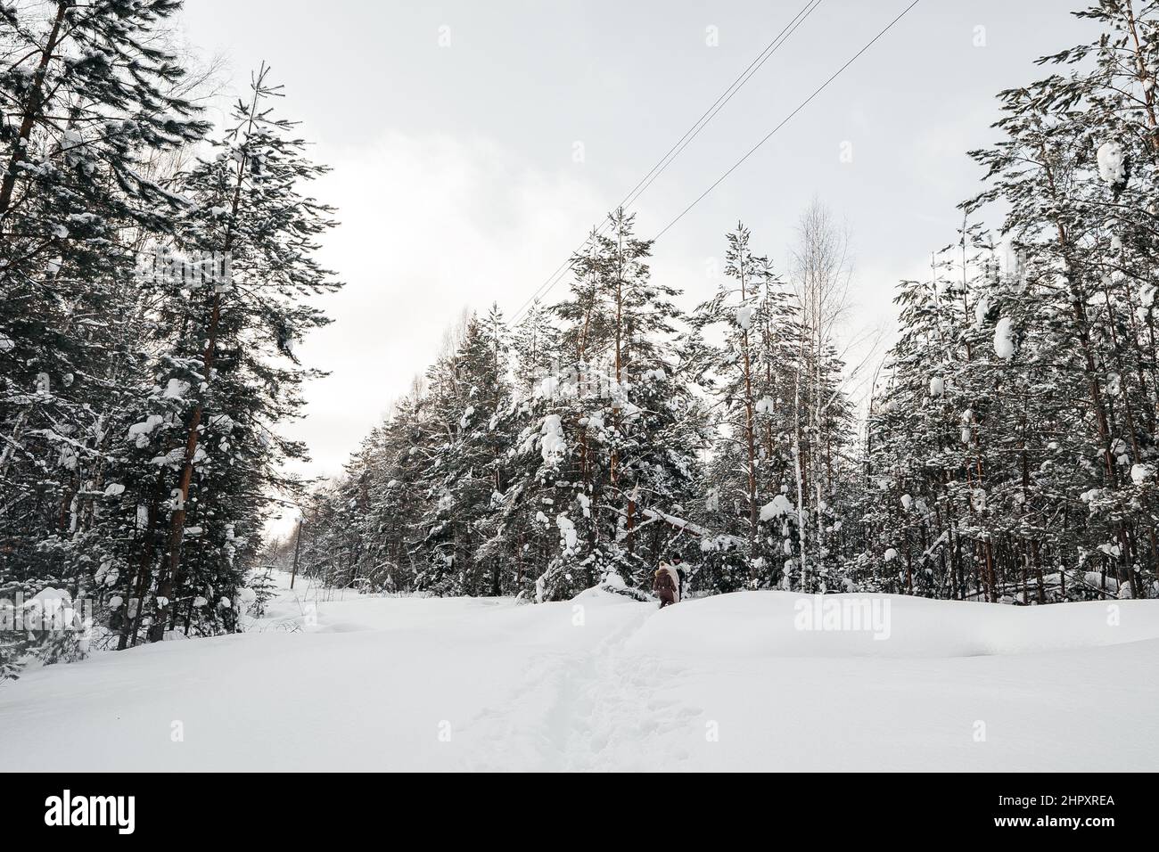 Schneepfad im Winterwald Stockfoto