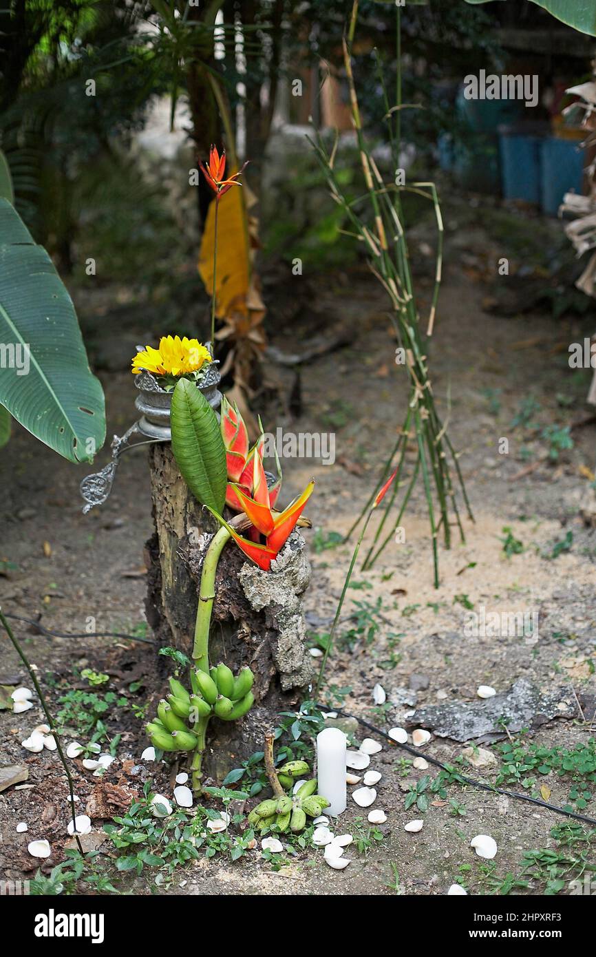 Volksrituale, die tief in Venezuela verwurzelt sind Stockfoto
