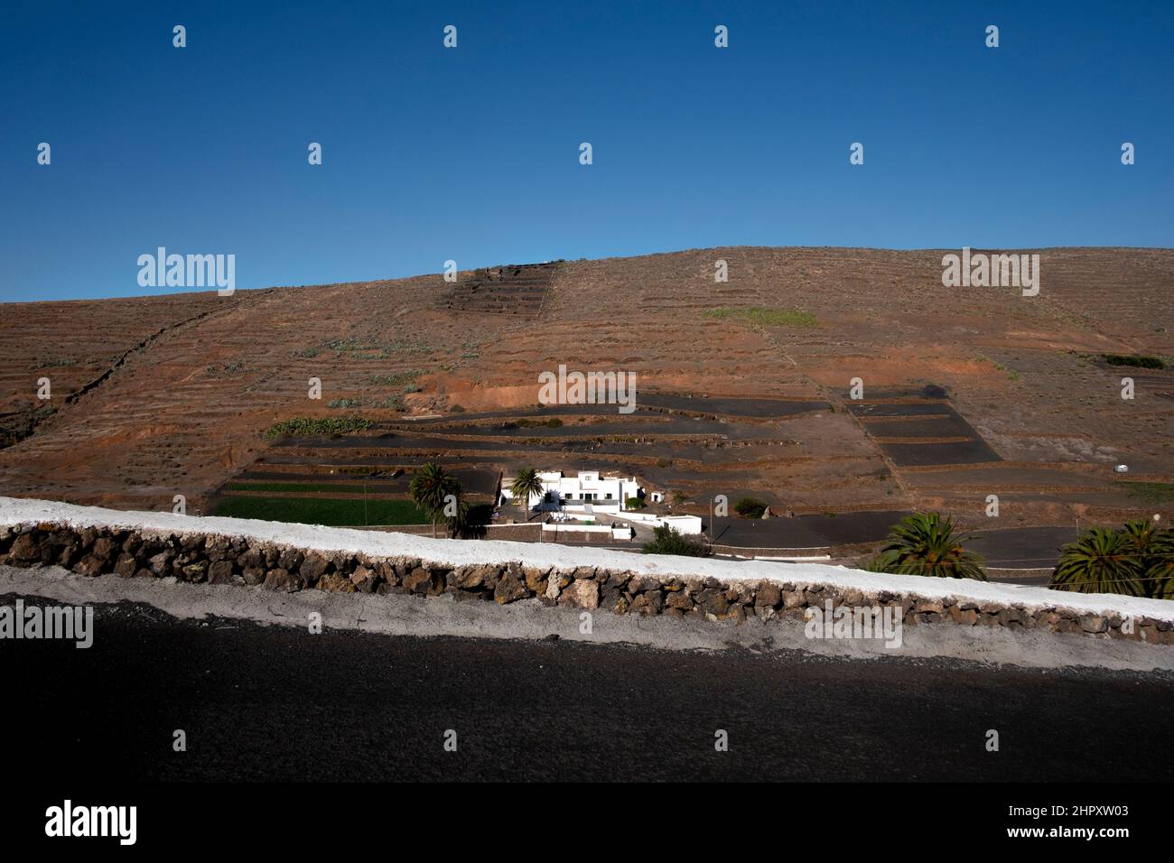 Blick auf den Bauernhof auf Lanzarote Stockfoto