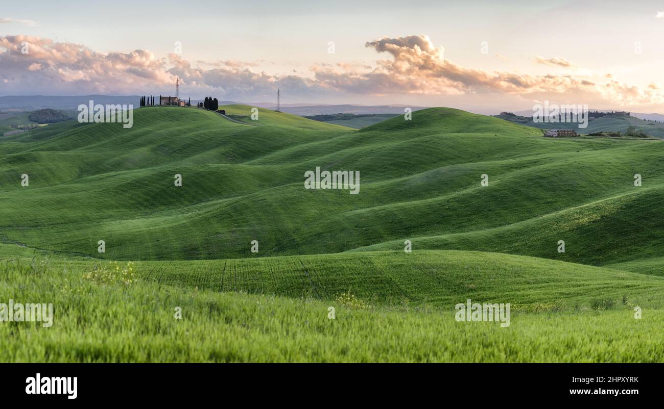 Toskanische Landschaft: Ein traumhaftes Land mit weiten grünen Hügeln, übersät mit Zypressen, ein Ort, an dem Landschaft zur Poesie wird. Stockfoto