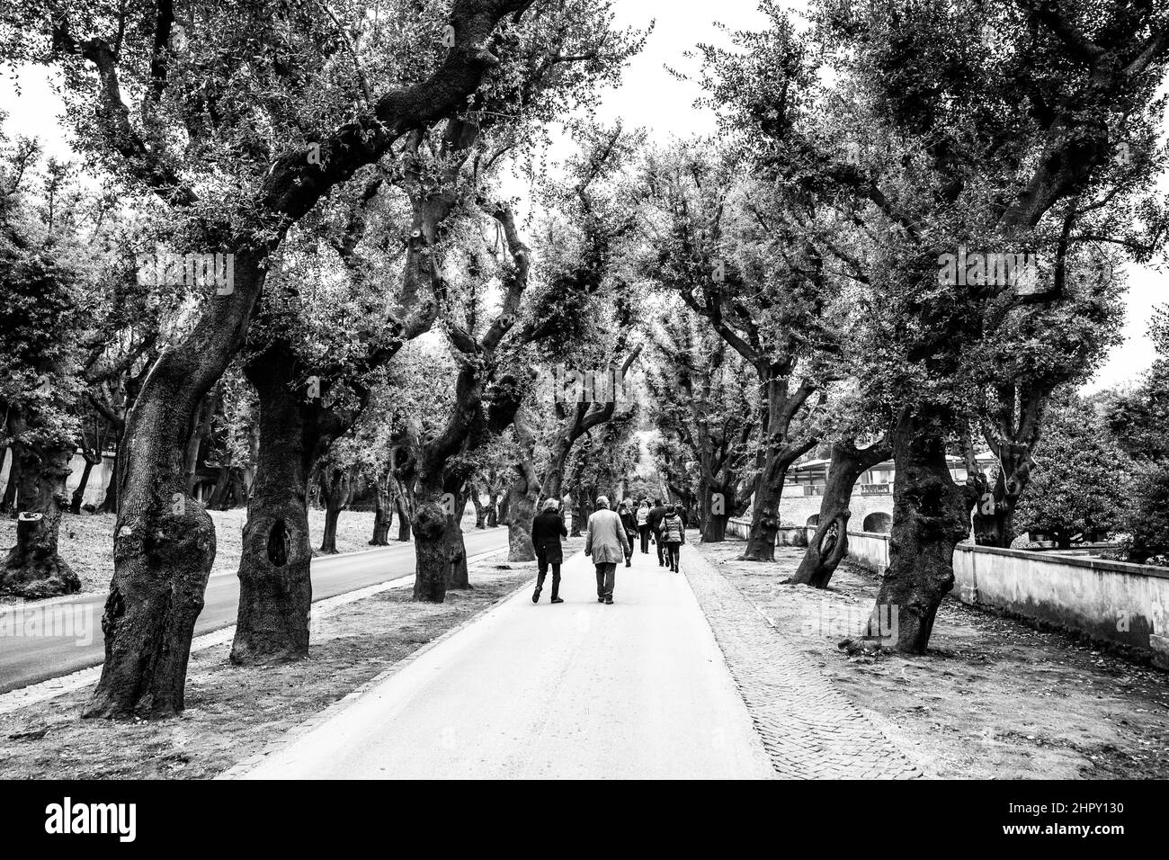 Die Gärten des Apostolischen Palastes, Sommerresidenz der Päpste, Castel Gandolfo, Italien Stockfoto
