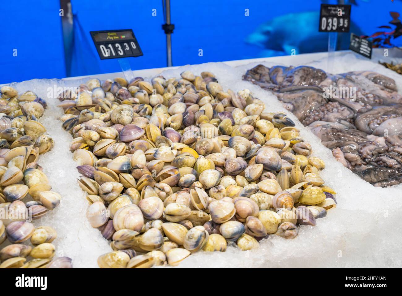 Venusmuscheln in der Fischkheke eines Supermarkts Stockfoto