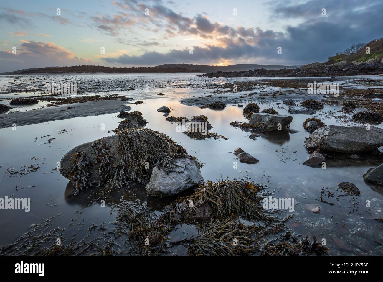 Mit Algen bedeckte Felsen bei Sonnenuntergang bei Ebbe, Rockcliffe, Dalbeattie, Dumfries und Galloway, Schottland, Vereinigtes Königreich, Europa Stockfoto