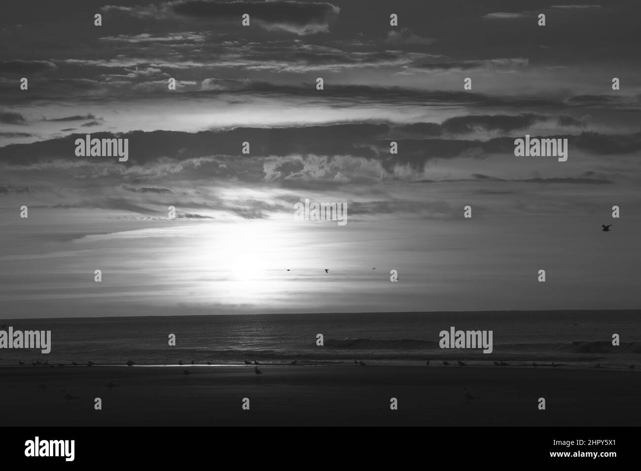 Schwarz-Weiß oder monochromer, dramatischer Sonnenuntergang am Strand mit wunderschönem, farbenfrohen Himmel, Cap Blanc Nez, Opalküste Frankreichs, Europa. Hochwertige Fotos Stockfoto