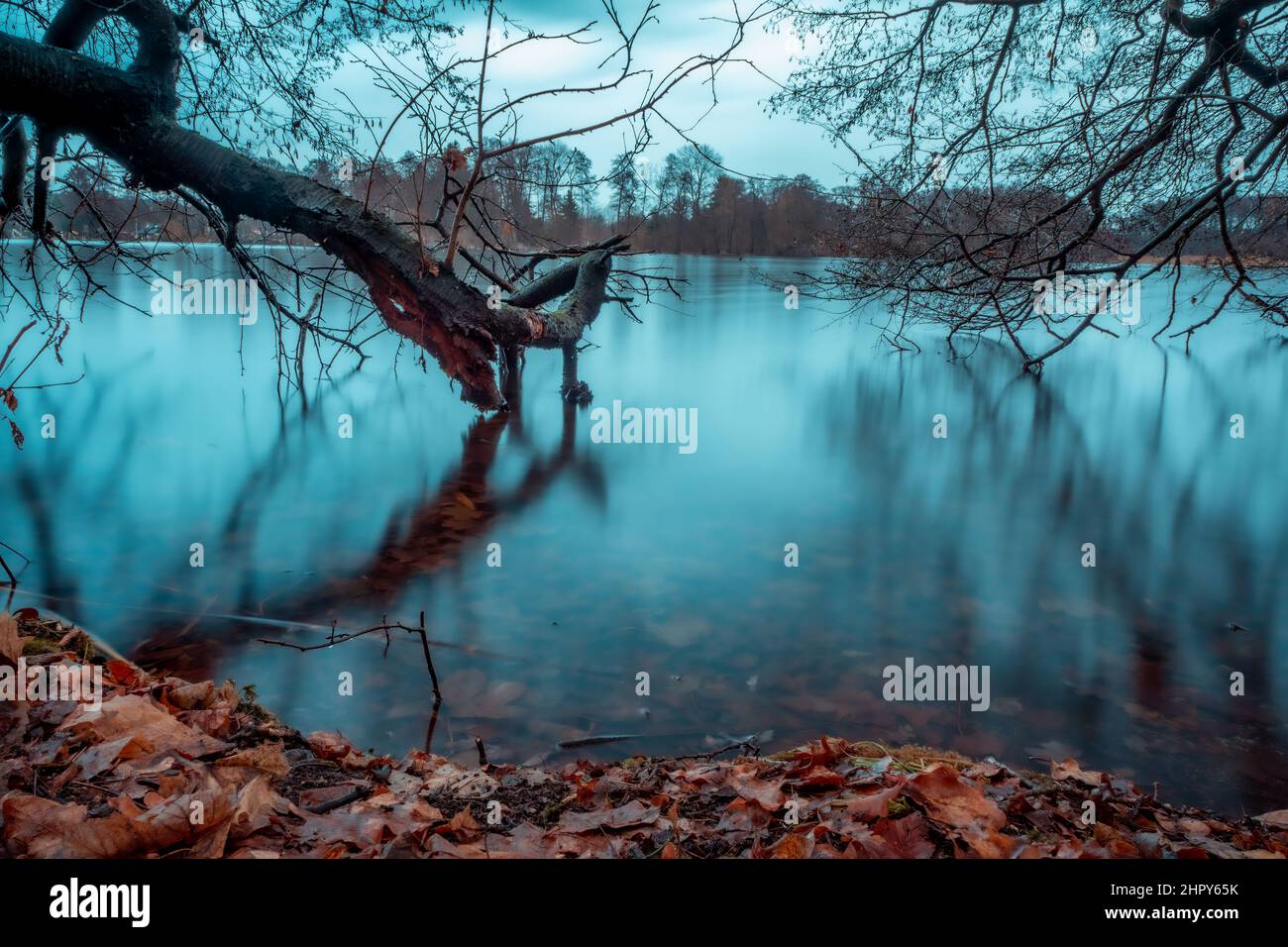 Bötzsee Langzeitbelichtung. See in Brandenburg. Stockfoto