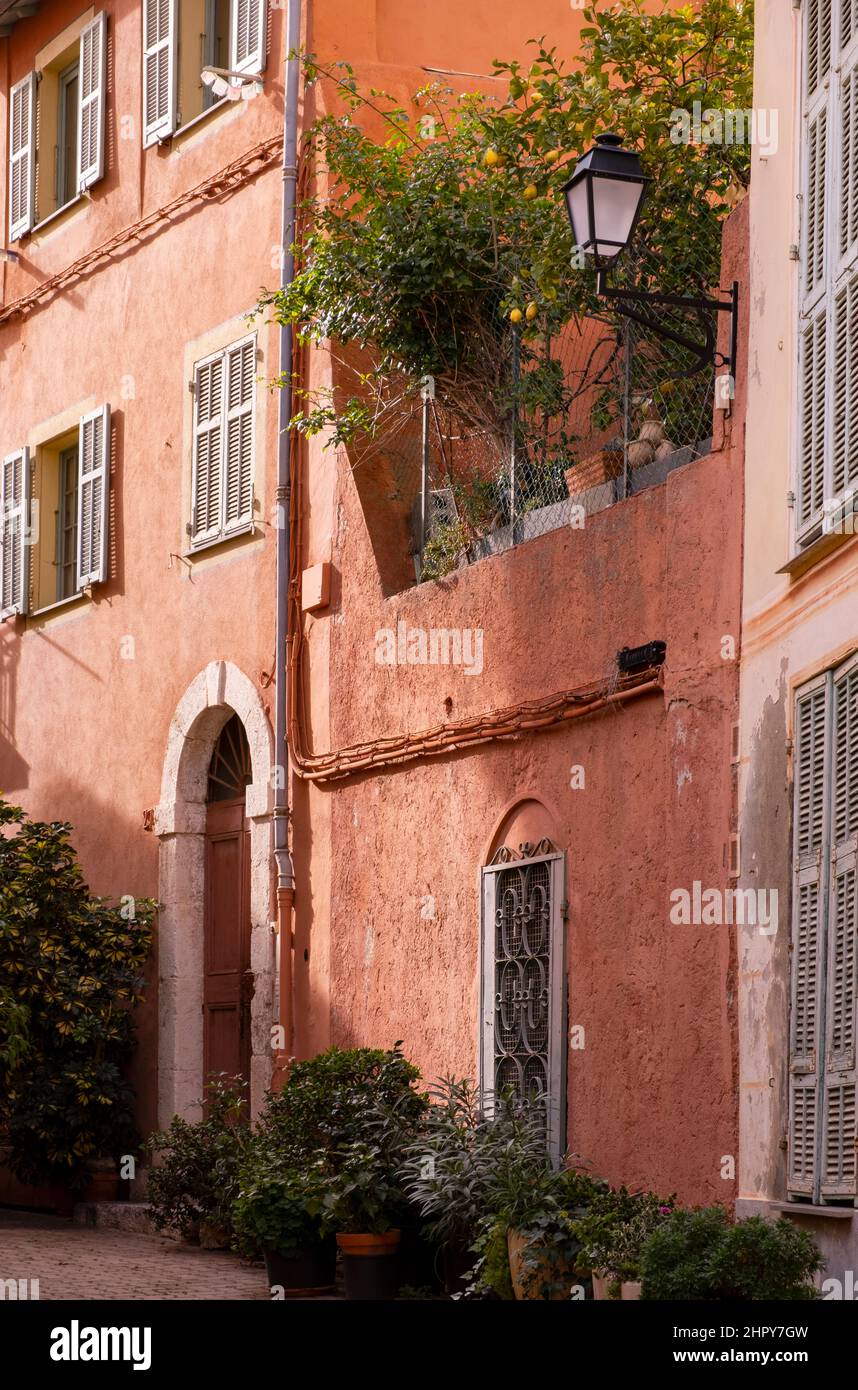 Farbenfrohe rosafarbene Wände, Topfpflanzen und Häuser in der Altstadt von Villefranche sur Mer, Frankreich. Stockfoto