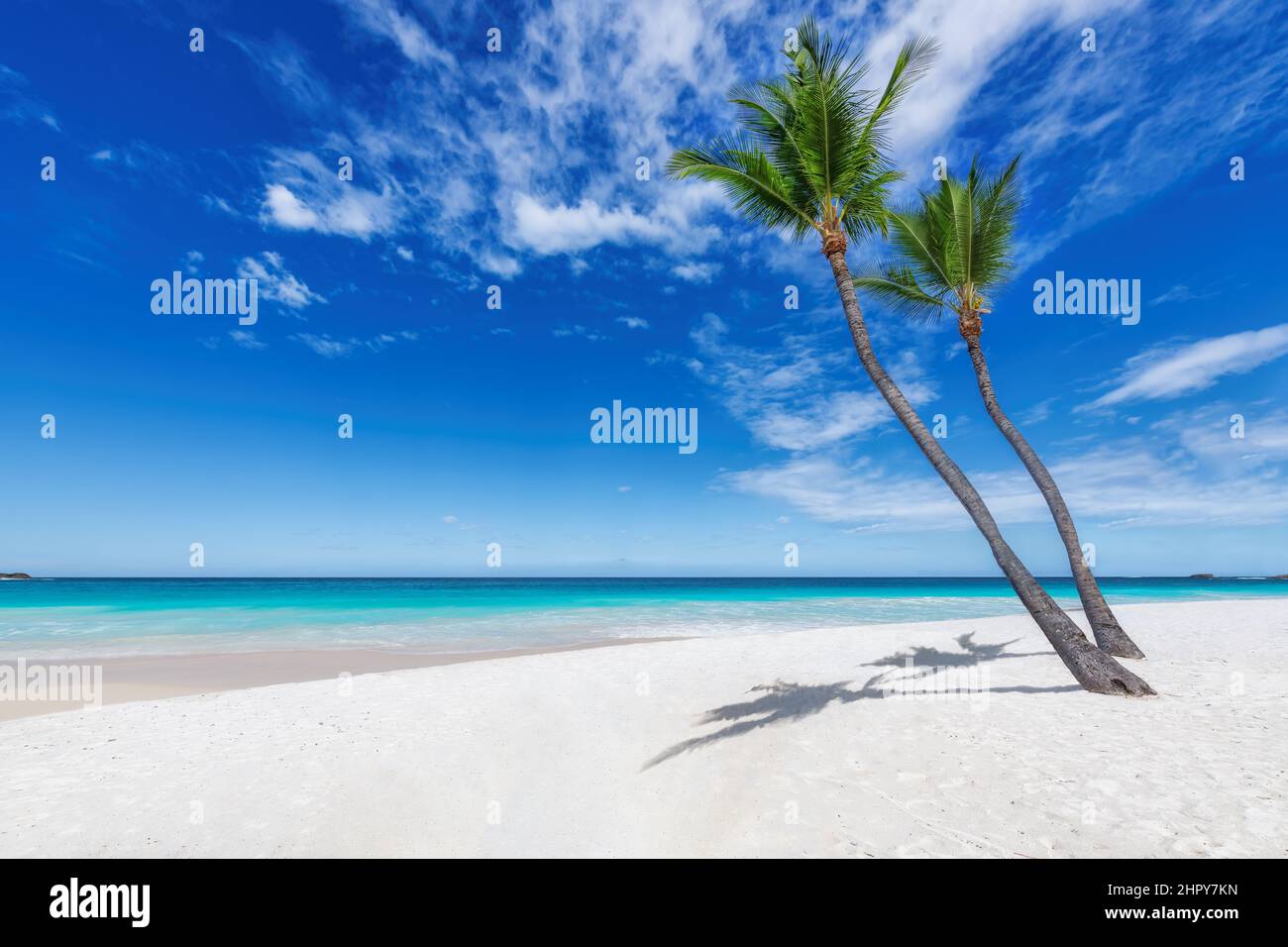 Tropischer weißer Sandstrand und das türkisfarbene Meer auf der Karibikinsel. Stockfoto
