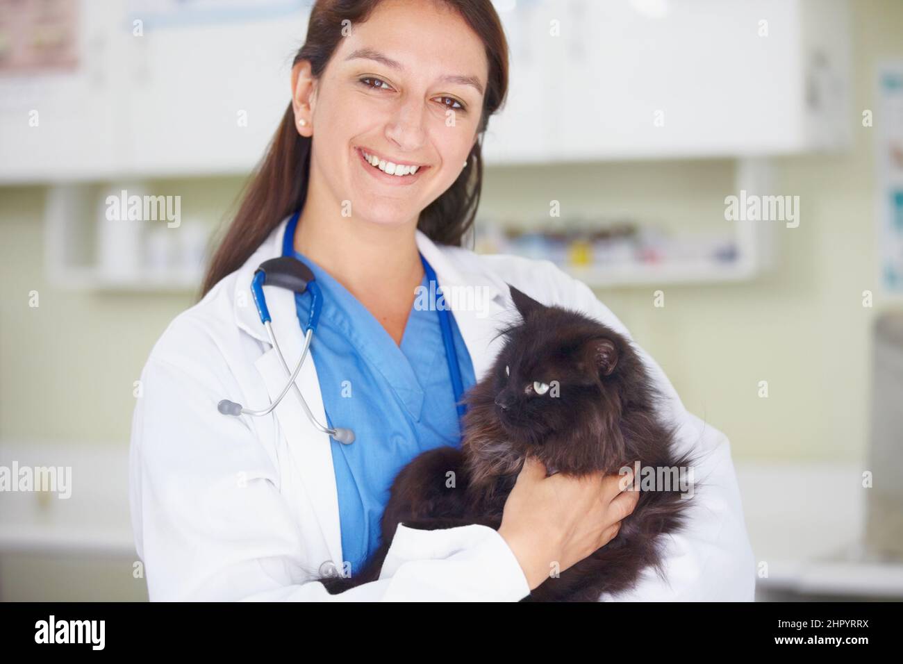 Wir kümmern uns bestens um Ihre Haustiere. Porträt einer lächelnden Tierärztin mit einer dunklen Katze. Stockfoto