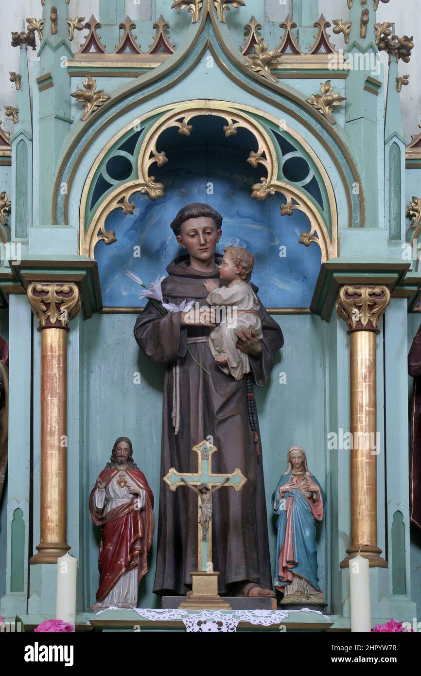 Altar des heiligen Antonius von Padua in der Pfarrkirche der heiligen Simon und Jude in Ciglena, Kroatien Stockfoto