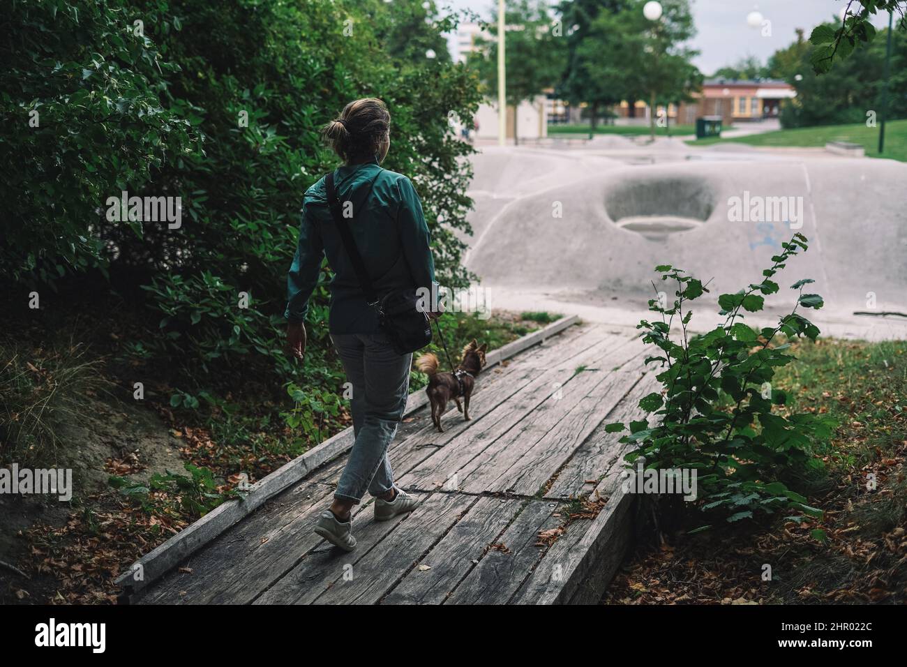 Mädchen, die mit einem kleinen Hund spazieren gehen. Stockfoto