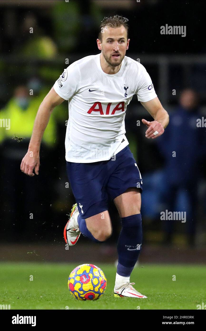 TOTTENHAM HOTSPUR FC Sterling Silber Spurs Hahn Anhänger & Kette Halskette