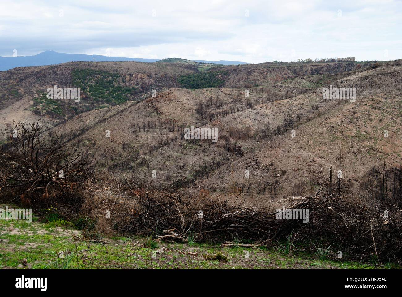 Das Feuer im Staatswald von Tresnuraghes Stockfoto