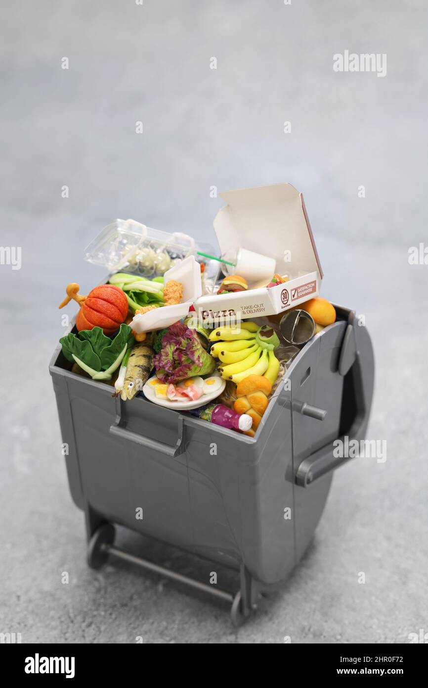 Mülltonne, Bild von Lebensmittelabfällen in Miniatur. Die Briefe der Pizzabox sind fiktiv. Stockfoto