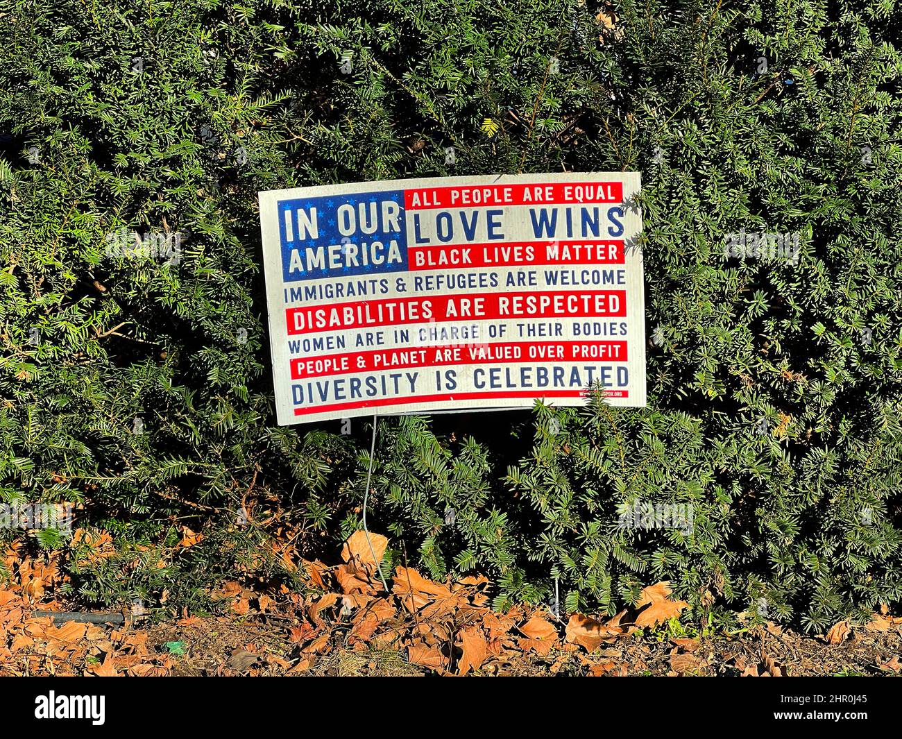 Auf dem vorderen Rasen eines Hauses im Viertel Ditmas Park in Brooklyn New York wird ein Schild mit den egalitären Werten der Eigentümer geführt. Stockfoto