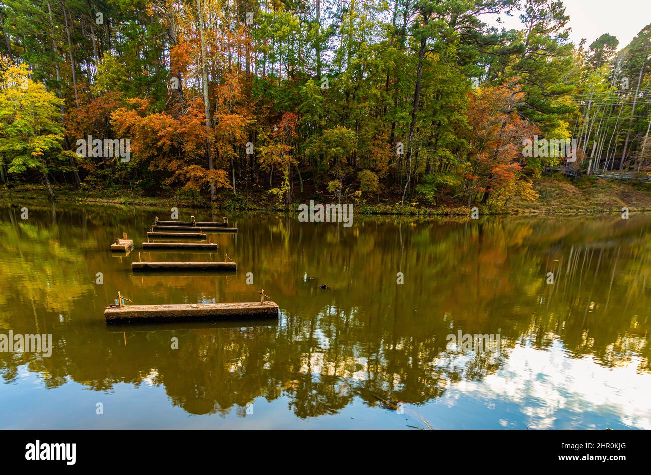 Herbstfarbreflektionen auf Sycamore Creek, William B. Umstead State Park, Raleigh, North Carolina, USA Stockfoto