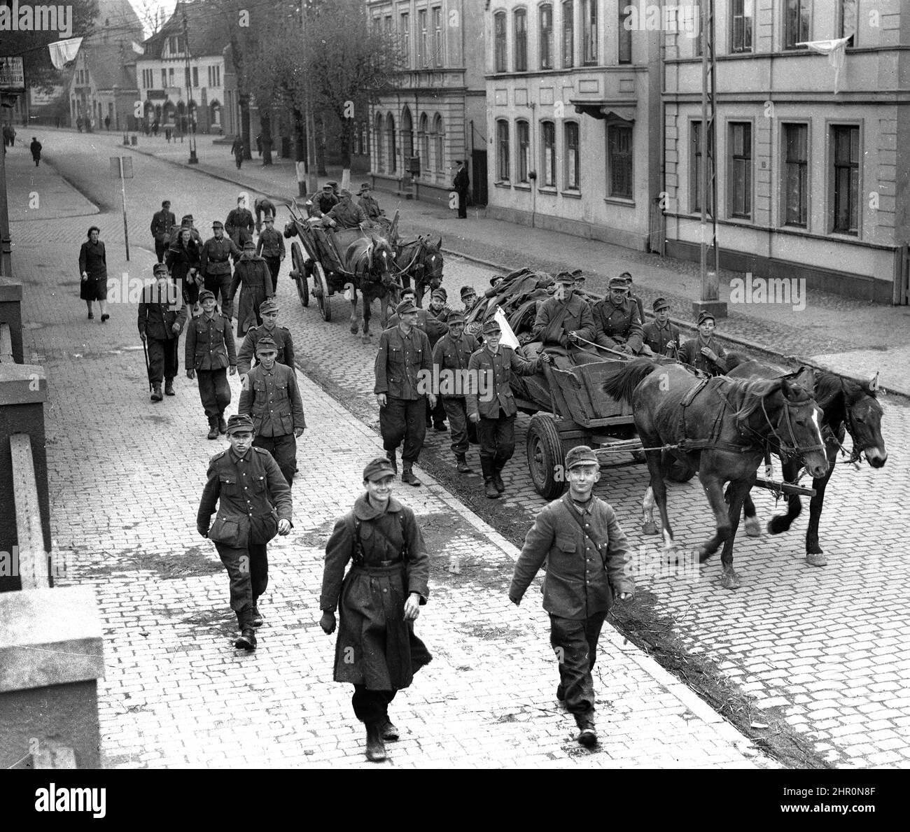 Deutschland 2. Weltkrieg 1945. Soldaten der deutschen Armee die meisten von ihnen sind sehr jung und lächeln, als sie mit einer weißen Kapitulationsflagge auf ihrem Pferd und Wagen besiegt nach Hause zurückkehren. Von einigen der Gebäude sind auch weiße Fahnen drapiert zu sehen. Stockfoto