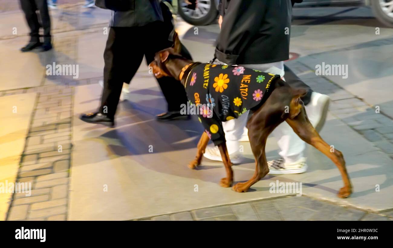 Izmir, Türkei, Türkei. 21st. Februar 2022. Alltag mit zufälligem Volk aus verschiedenen kulturellen und wirtschaftlichen Ebenen im beliebtesten Stadtteil Izmir in Alsancak in der Türkei. (Bild: © Idil Toffolo/Pacific Press via ZUMA Press Wire) Stockfoto