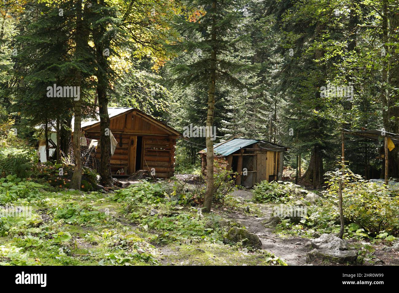 Touristische Holzhäuser im Wald. Panoramablick auf die Campingplätze im Sommerwald. Abenteuerreise, aktiver Lebensstil. Stockfoto