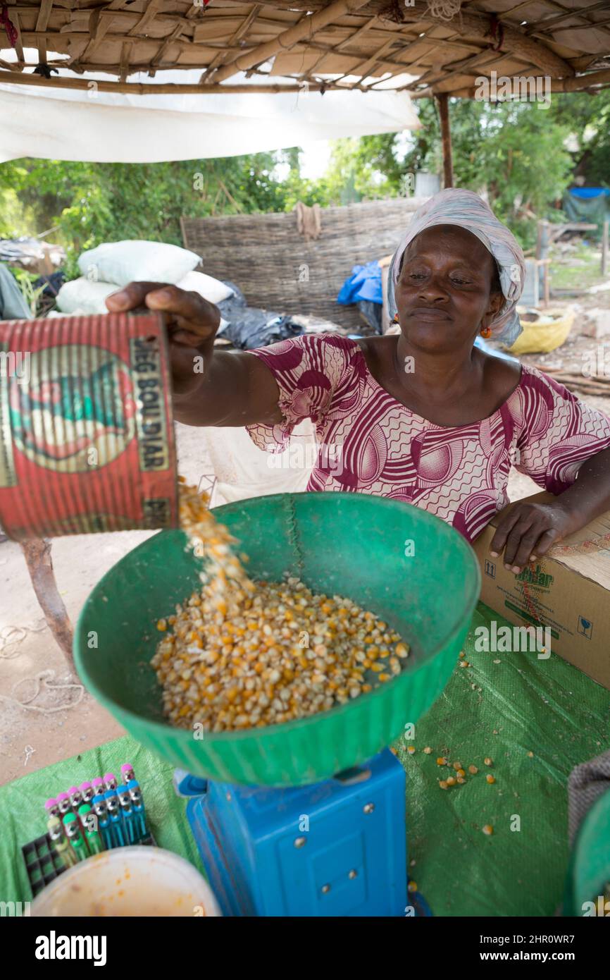 Eine Verkäuferin am Markt wiegt Mais für einen Kunden in der Nähe der Kolda-Brücke in Kolda, Senegal, Westafrika. Stockfoto