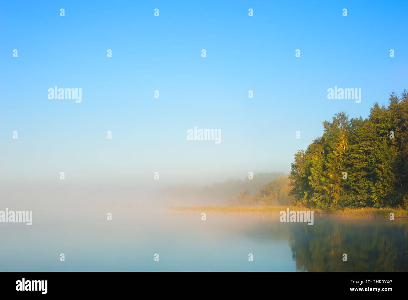 Herbstsonnenaufgang mit Nebel auf dem See Stockfoto