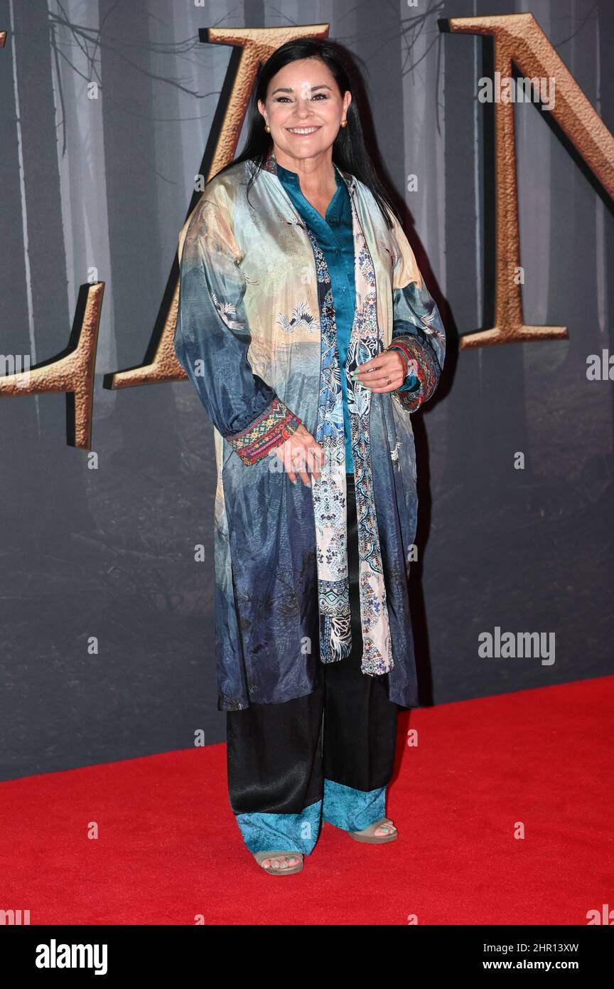 Diana Gabaldon ist bei der „Outlander“ Season Six Premiere-Kostümpremiere am 24th 2022. Februar in der Royal Albert Hall, London, Großbritannien, zu sehen. Stockfoto