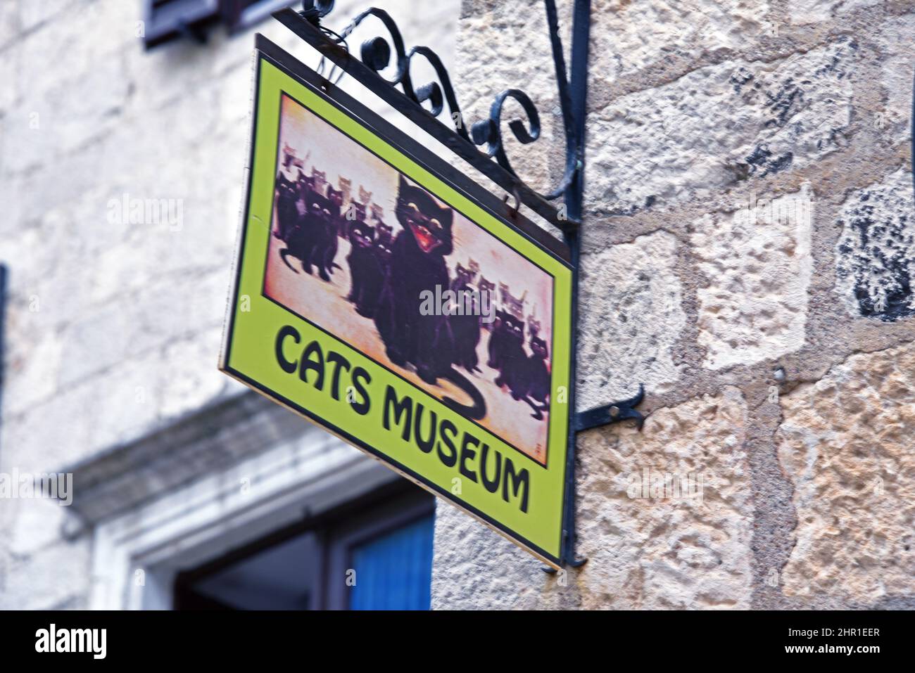 Schild 'Katzenmuseum', Montenegro, Kotor Stockfoto