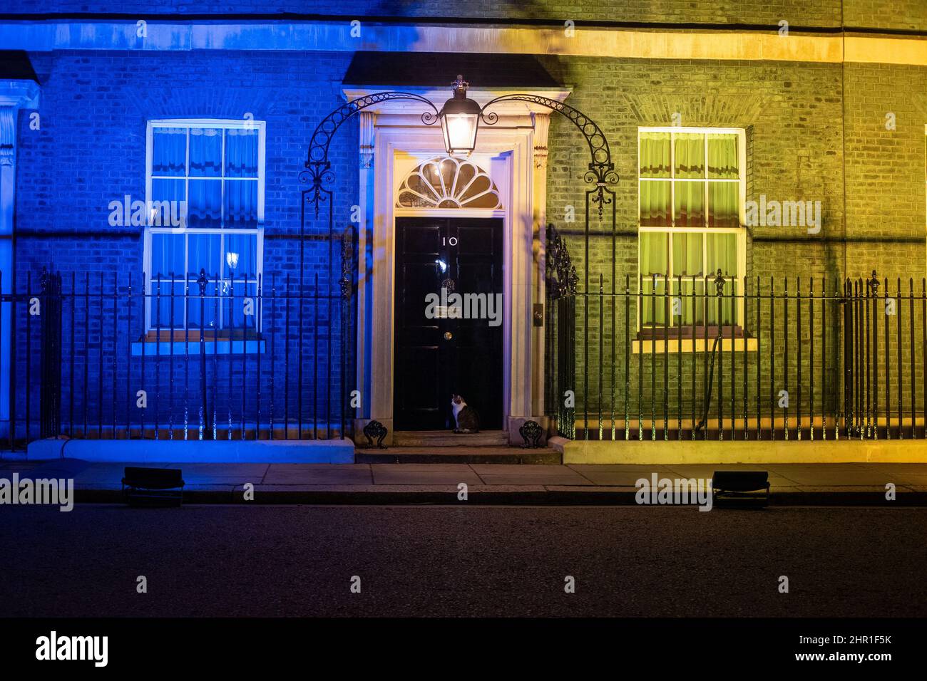 LONDON, 24th. FEBRUAR Larry the Cat saß vor der Haustür der Downing Street 10, als sie mit den Farben der ukraine-Flagge beleuchtet wurde, Solidarität mit der Ukraine nach der russischen Invasion am Donnerstag, den 24th. Februar 2022. (Kredit: Lucy North | MI News) Kredit: MI Nachrichten & Sport /Alamy Live News Stockfoto