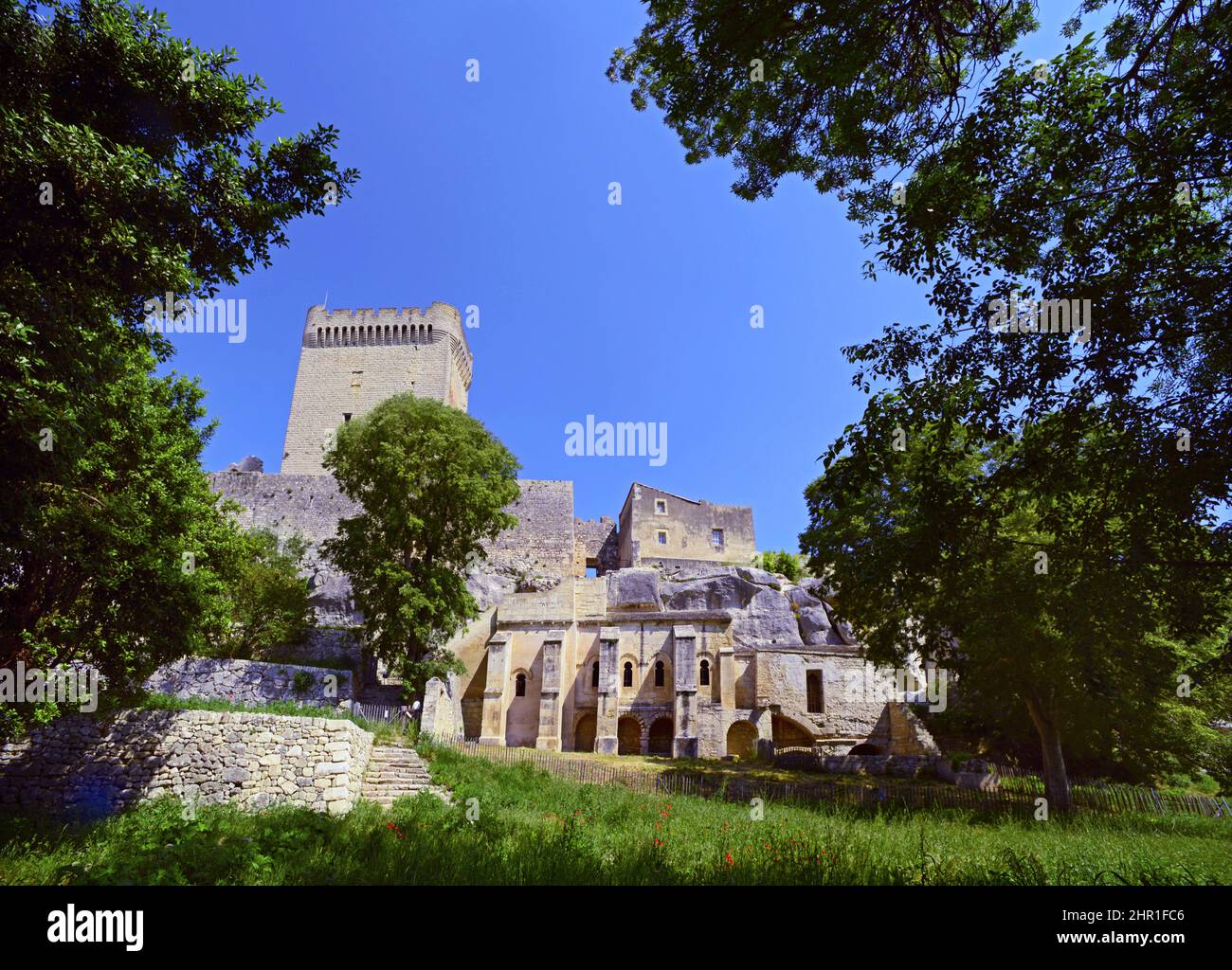 Abtei von Montmajour aus dem 10.. Jahrhundert, Frankreich, Bouches du Rhone, Arles Stockfoto