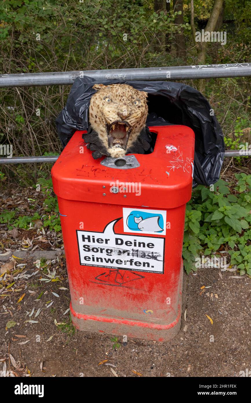 Gefüllter Jaguar Kopf auf Abfallbehälter, Deutschland, Hamburg Stockfoto