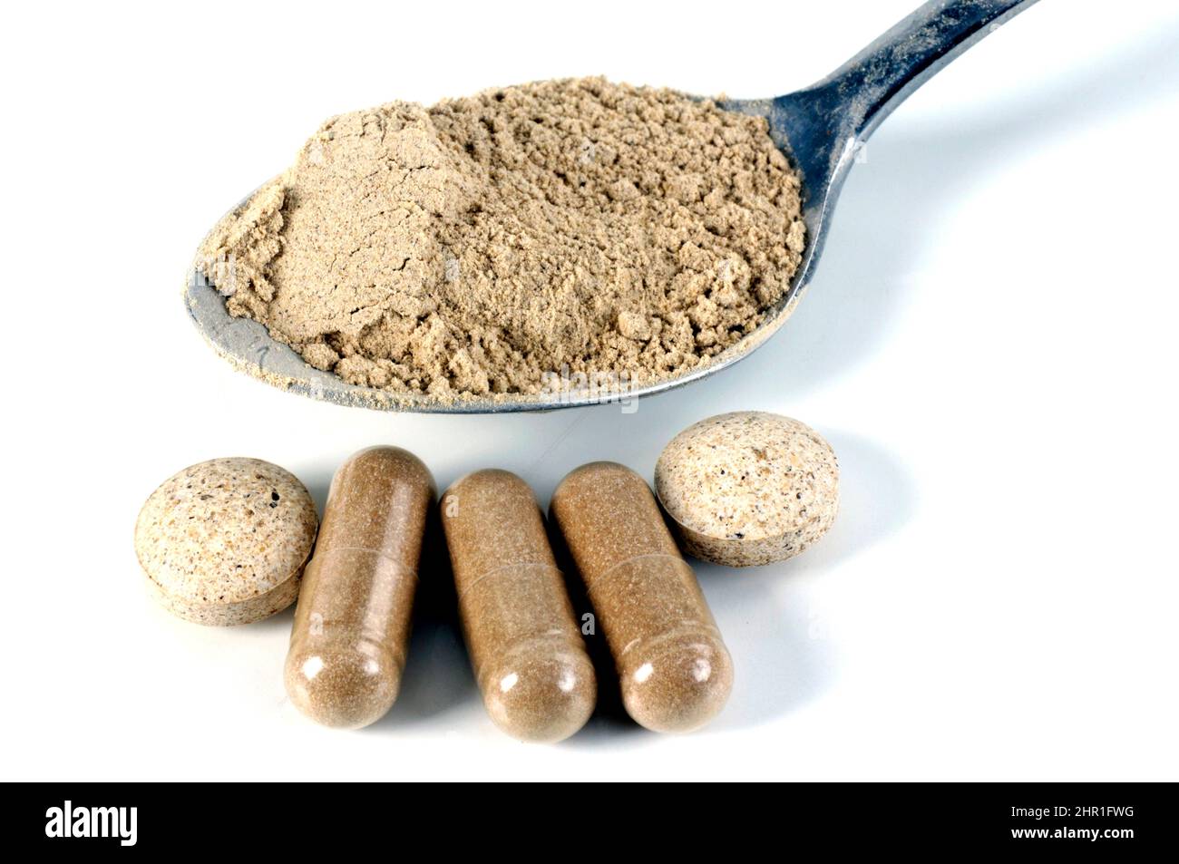 Shiitake (Lentinula edodes, Lentinus edodes), Pulver auf einem Löffel, Tabletten und Tablettenkapseln Stockfoto