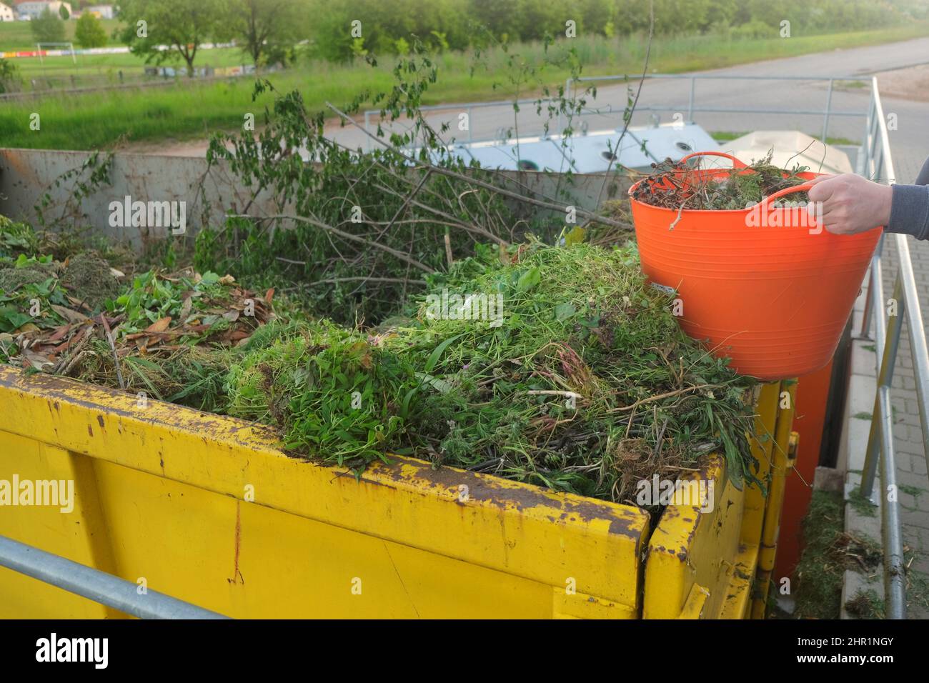 Grüner Kompost.Gemüseabfall. Eimer mit Gemüsekompost in den Händen eines Mannes. Gras und Blätter. Bio garbage.green Kompost mit verschiedenen Pflanzen Stockfoto