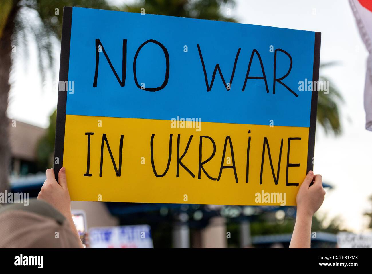 Hallandale, Florida, USA. Februar 24th 2022. Miami: Ukraine-Kriegsprotest. Protest gegen russische Invasion in der Ukraine. Einige Ukrainer in Miami, Sunny Isles Beach, Boca Raton und South Beach protestieren gegen die Invasion der russischen Armee in die Ukraine. Ukraine Krieg Protestschilder und Beiträge. Kredit: Yaroslav Sabitov/YES Market Media/Alamy Live Nachrichten Stockfoto