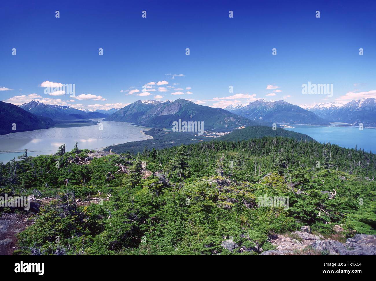 Panoramablick auf den Mount Riley an der Alaskaküste bei Haines, Alaska Stockfoto