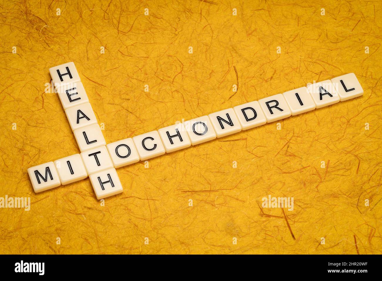 Mitochondriales Gesundheits-Kreuzworträtsel in Elfenbein Buchstaben Fliesen gegen texturiertes handgemachtes Papier, gesunden Lebensstil und Alterungskonzept Stockfoto