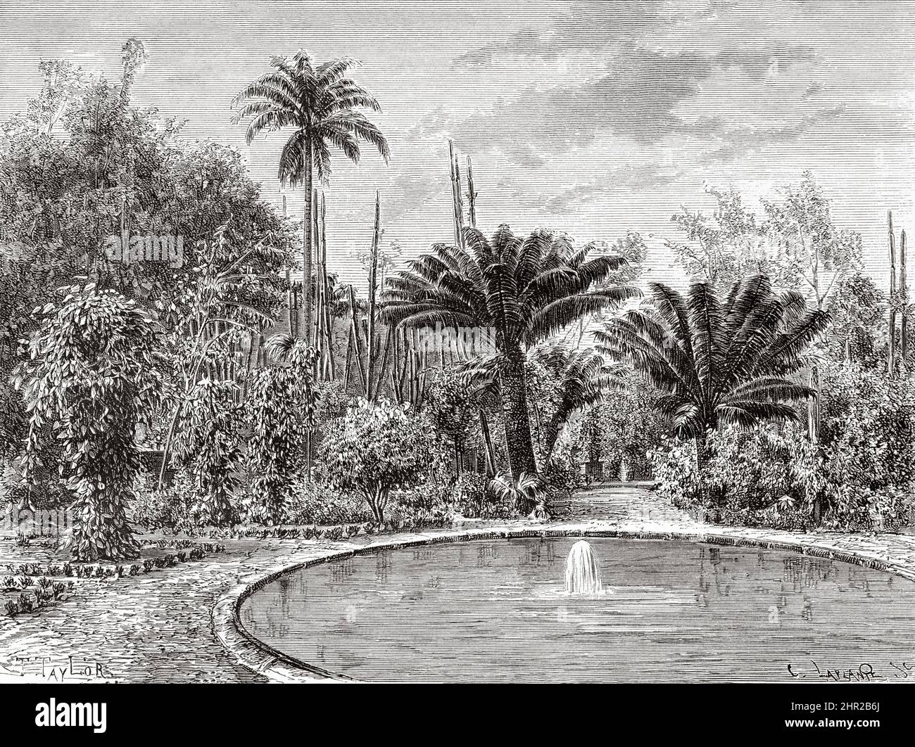 Die Botanikschule in Saint-Pierre, Martinique. Südamerika. Alte, 19.. Jahrhundert gravierte Illustration von der Reise nach Kolumbien von Edward Francois Andre, Le Tour du Monde 1877 Stockfoto