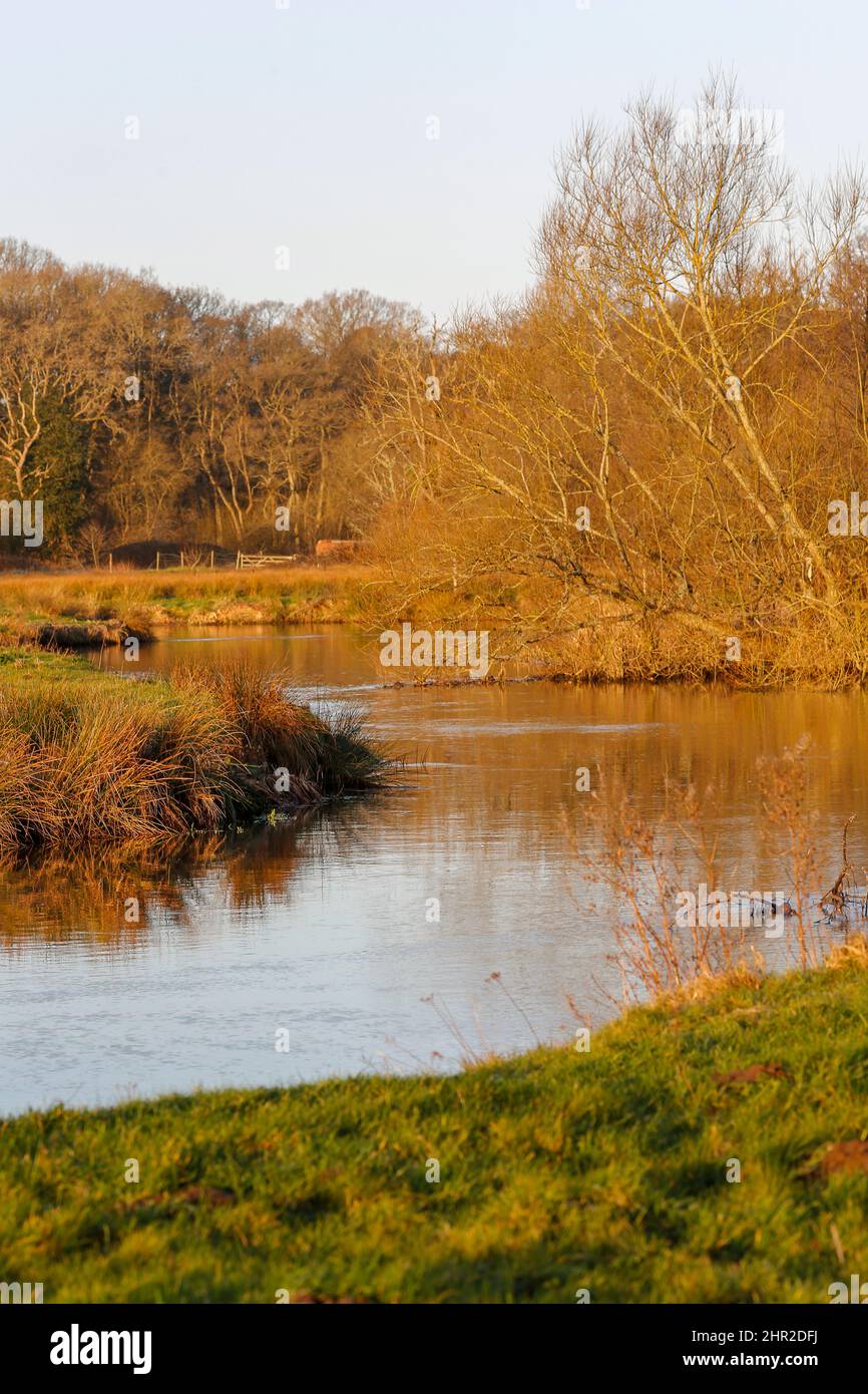 Waverley Lane, Elstead. 25.. Februar 2022. Ein kalter, aber trockener Start in den Tag für die Heimatkreise. Morgenlicht am Fluss Wey bei Thundry Meadows in Elstead, in der Nähe von Godalming, in Surrey. Kredit: james jagger/Alamy Live Nachrichten Stockfoto