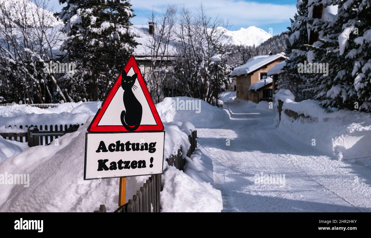 Cinuos-Chel, Schweiz - 3. Februar 2022: Verkehrsschild mit dem Bild einer Katze und der deutschen Inschrift in der Übersetzung: Pass auf Katzen auf! Stockfoto