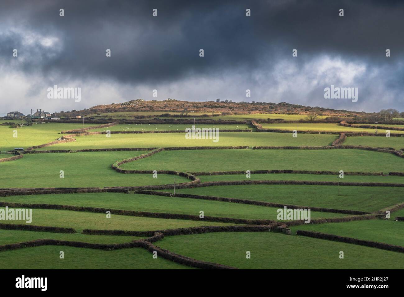 Traditionelle kornische Hecken auf Ackerland am Bodmin Moor in Cornwall. Stockfoto