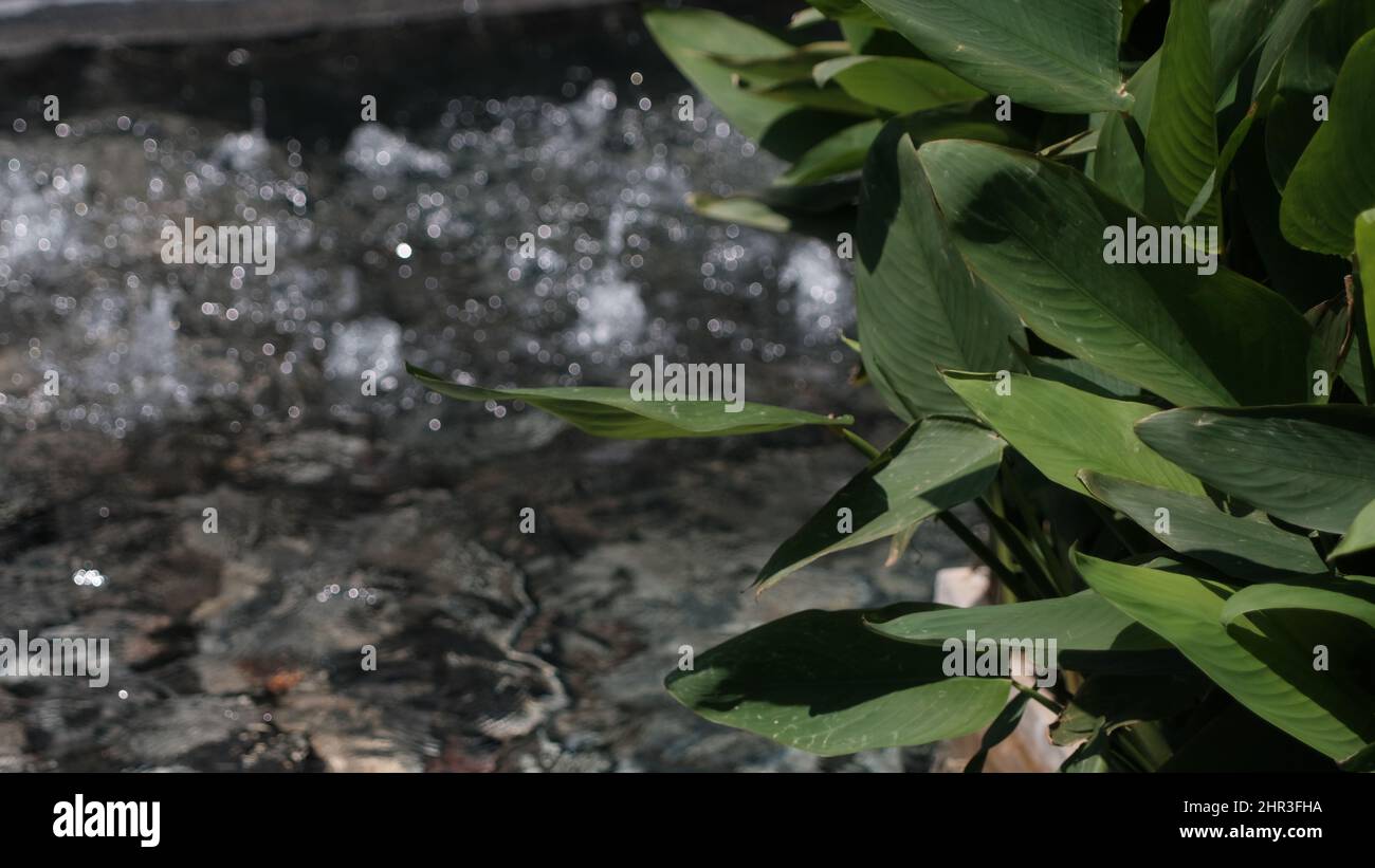 Sprudelnder Wasserbrunnen und Garten friedliche KunstMeditation Chong Nonsi Bangkok Thailand Stockfoto