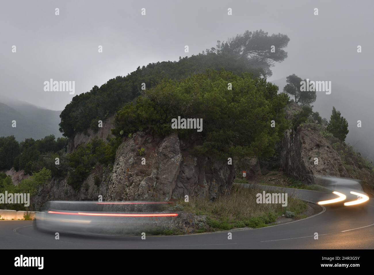 TF-12 Straße mit beweglichen Fahrzeugen, die leichte Wege schaffen, felsige Landschaft mit Lorbeerwald im Nebel, Anaga Rural Park Teneriffa Kanarische Inseln Spanien. Stockfoto