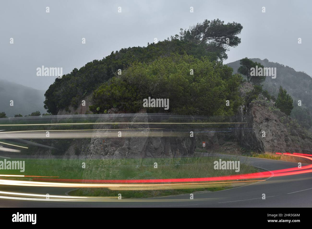 TF-12 Straße mit beweglichen Fahrzeugen, die leichte Wege schaffen, felsige Landschaft mit Lorbeerwald im Nebel, Anaga Rural Park Teneriffa Kanarische Inseln Spanien. Stockfoto