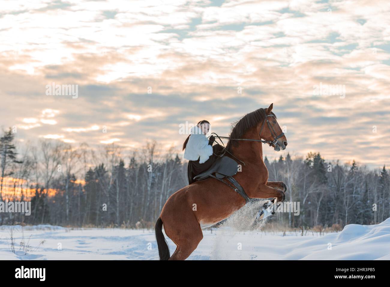 Ein Mädchen im weißen Mantel reitet im Winter auf einem braunen Pferd. Goldene Stunde, untergehende Sonne. Stockfoto