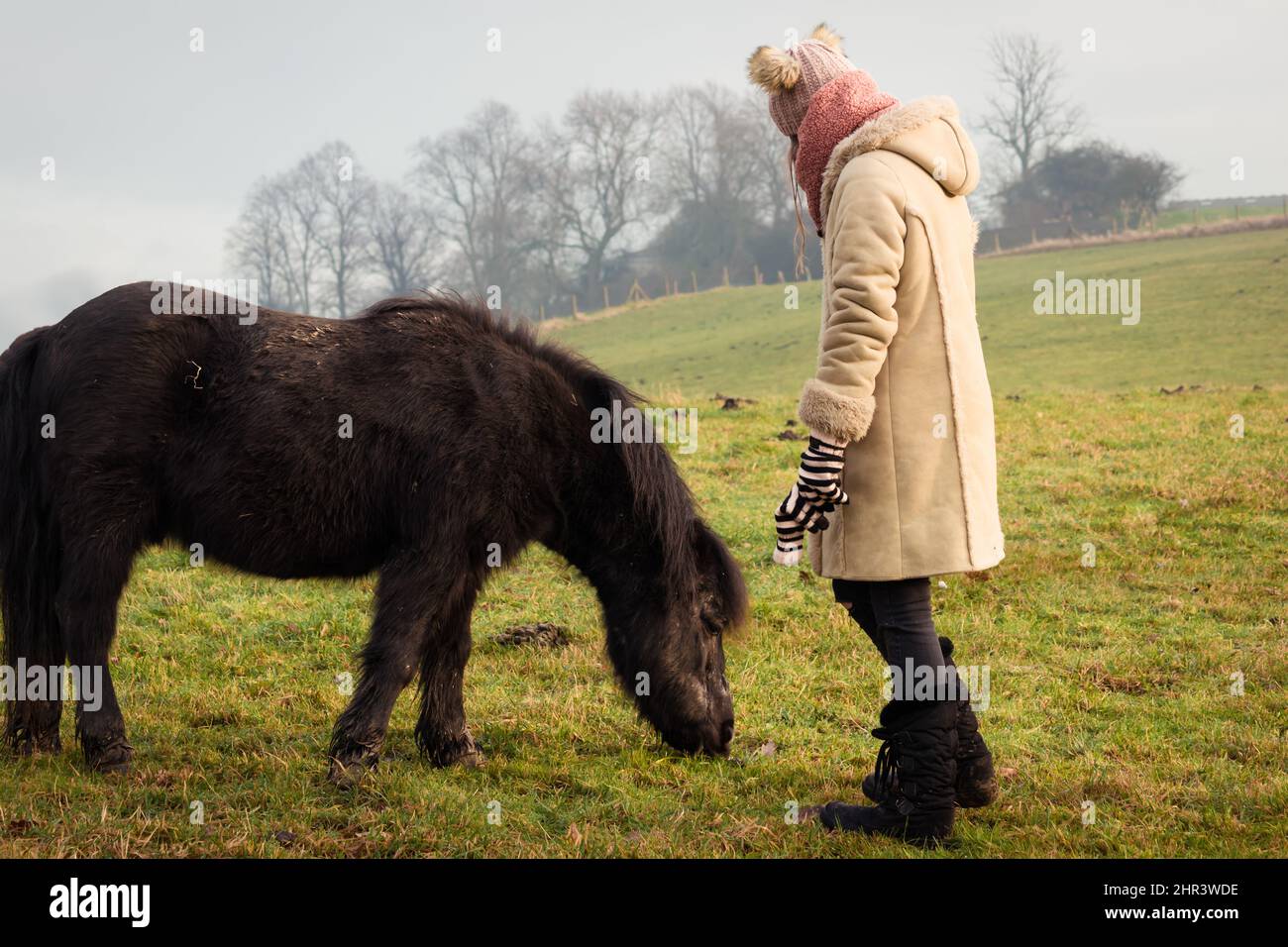 Teenager-Mädchen auf Wanderung bei kaltem Wetter mit schwarzen shetland Pony in ländlicher Umgebung Stockfoto