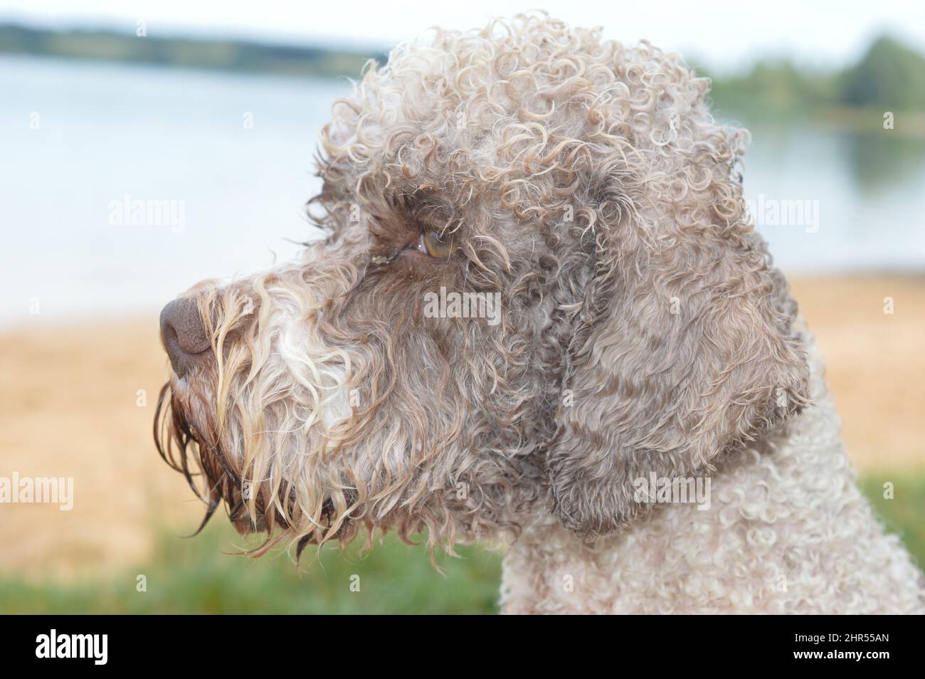 Rothsee Stockfoto