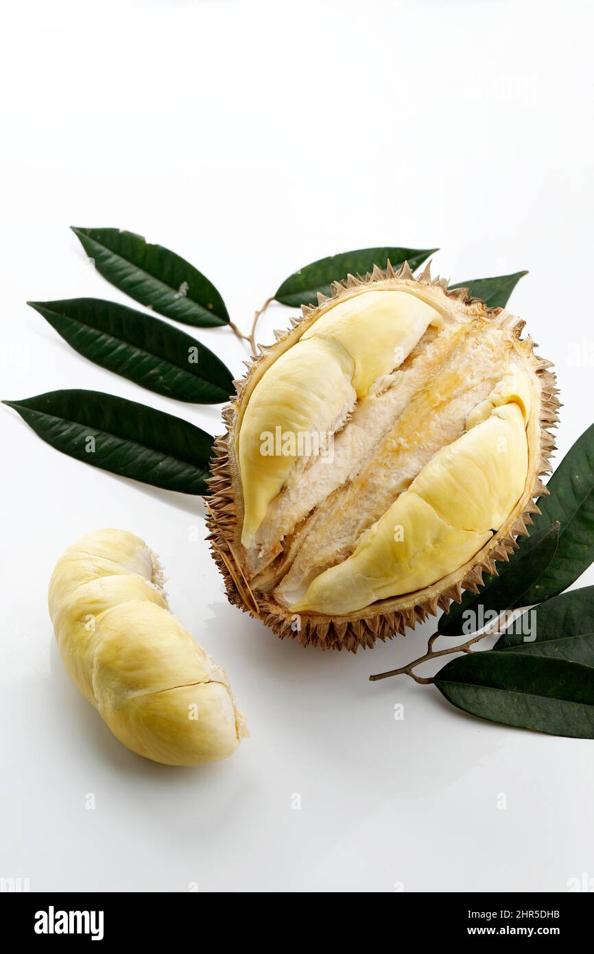 Durian Monthong König der Früchte aus Thailand, auf weißem Hintergrund Stockfoto