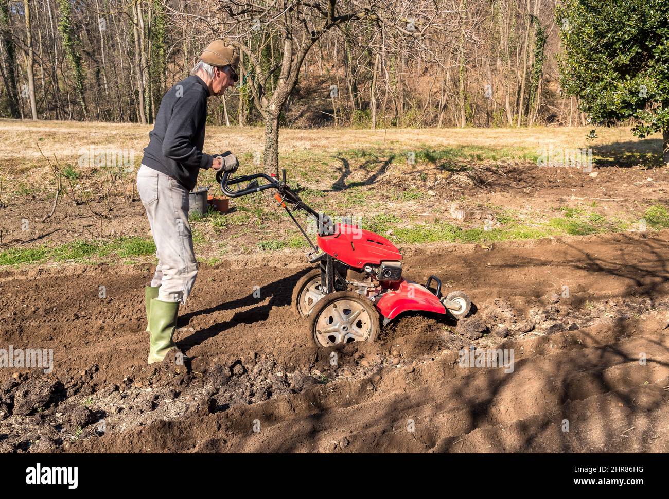 Älterer Mann, der im Garten mit einer Rottenfräse Boden bebaut. Frühlingsgarten Vorbereitung für die Aussaat. Stockfoto