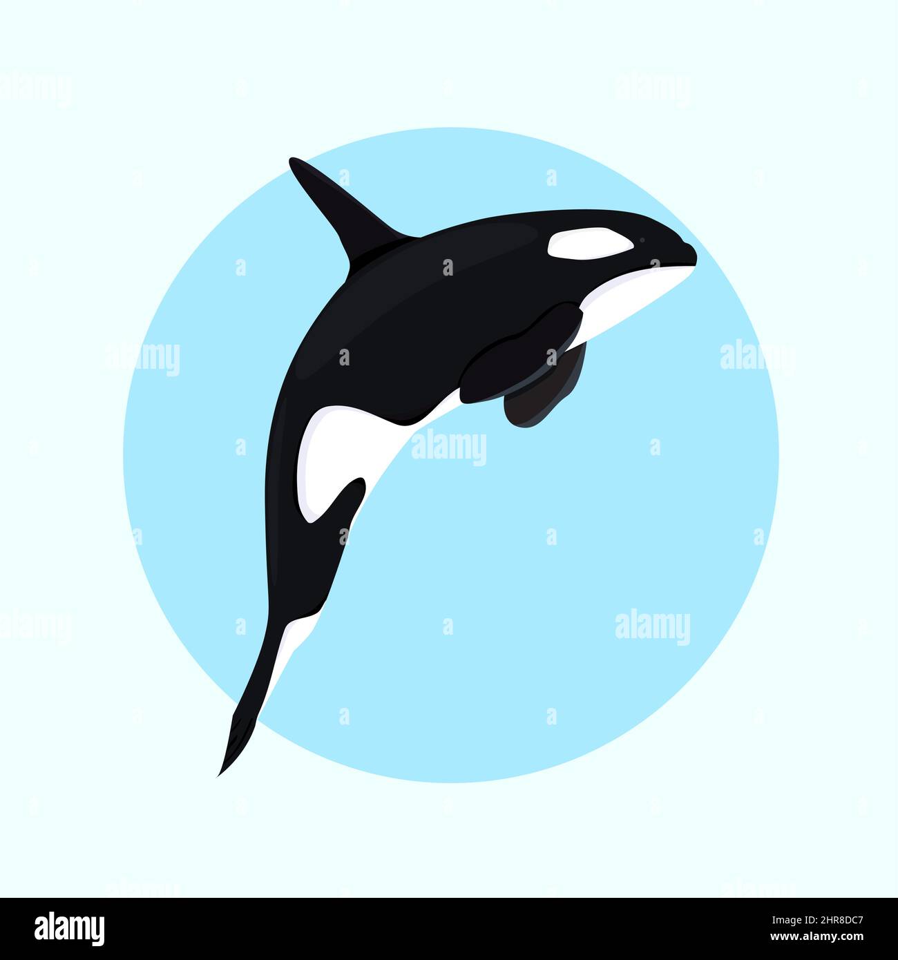 Killerwal, Orca flaches Design Stock Vektor