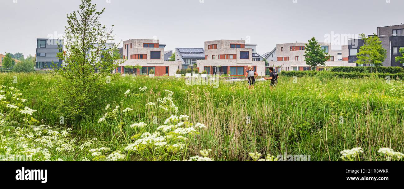 Tynaarlo, Niederlande - Neu gebaute Häuser in einem familienfreundlichen, modernen Vorort-Viertel in Eelderwolde in Tynaarlo Drenthe in den Niederlanden Stockfoto